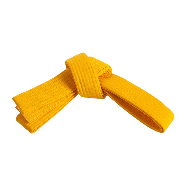 Double Wrap Solid Belt - Image 6